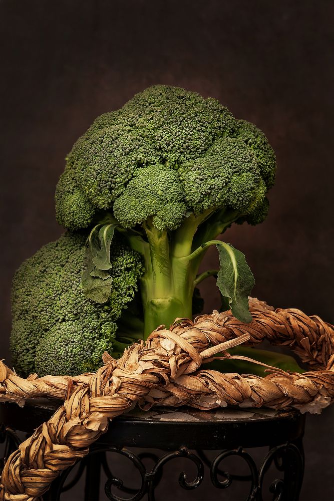 Photograph by Dragan Cerovic