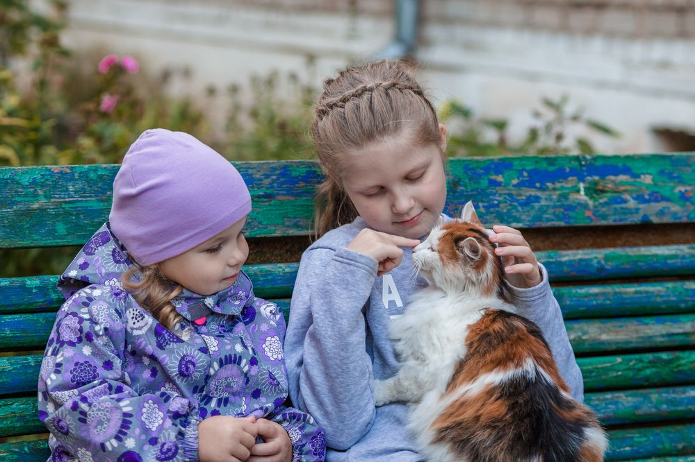 Вооот здесь центр вселенной!..