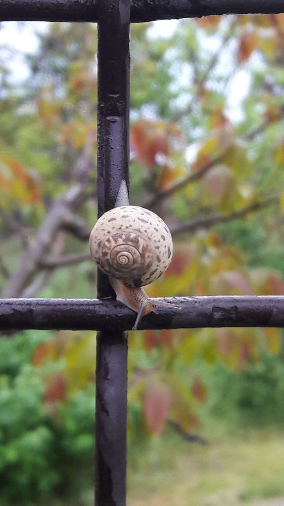 Фотография автора Алина Прищепа