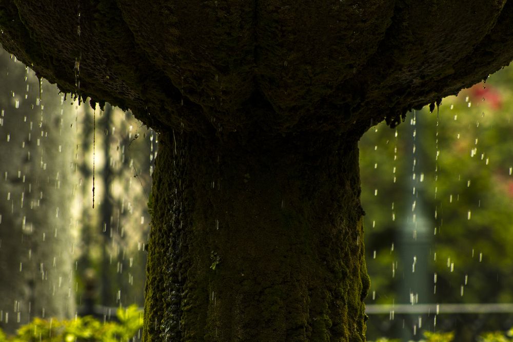 Photograph by Jorge Cristóbal Fernández-Trevejo Portuondo