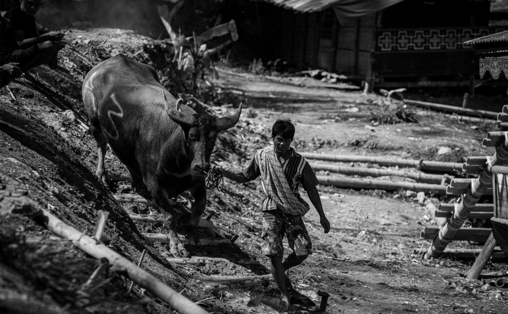 Photograph by HASHIM GOMBRI