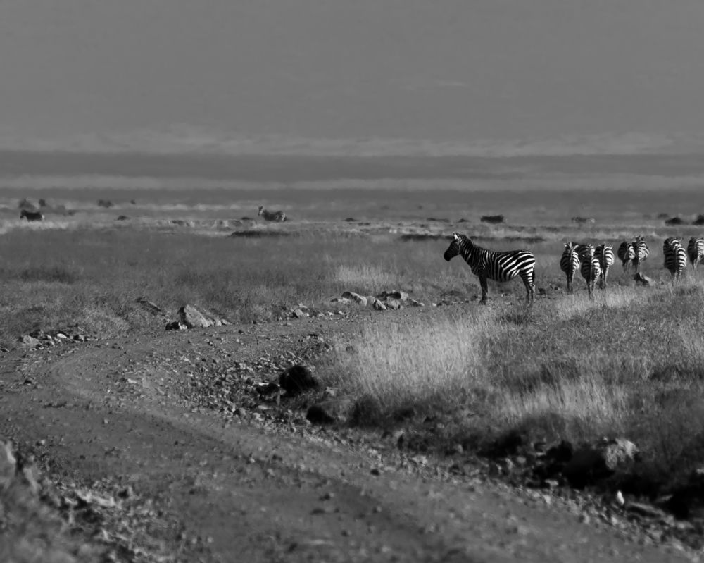 Фотография автора sahaj kasliwal