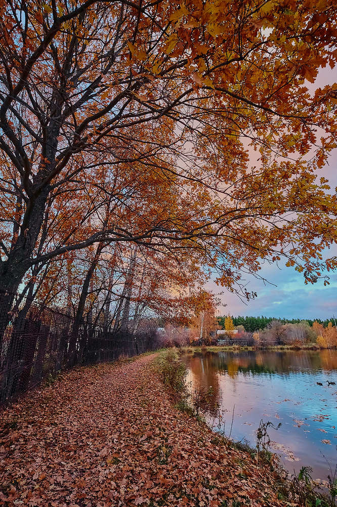 Золотая пора