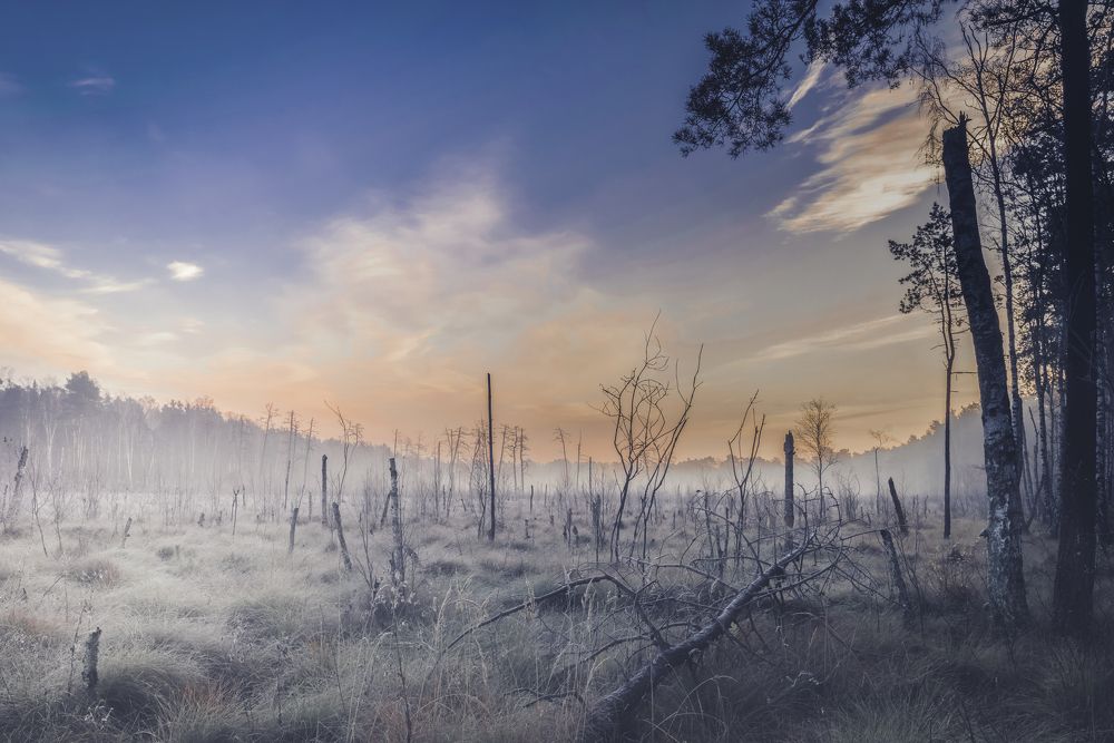 Photograph by Dariusz Budyta