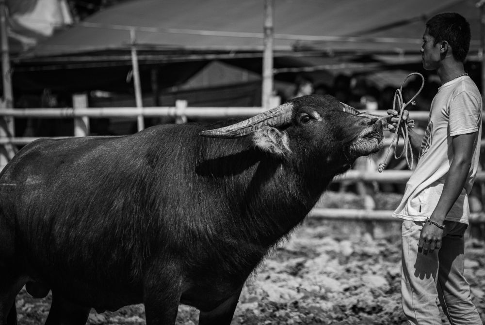 Photograph by HASHIM GOMBRI