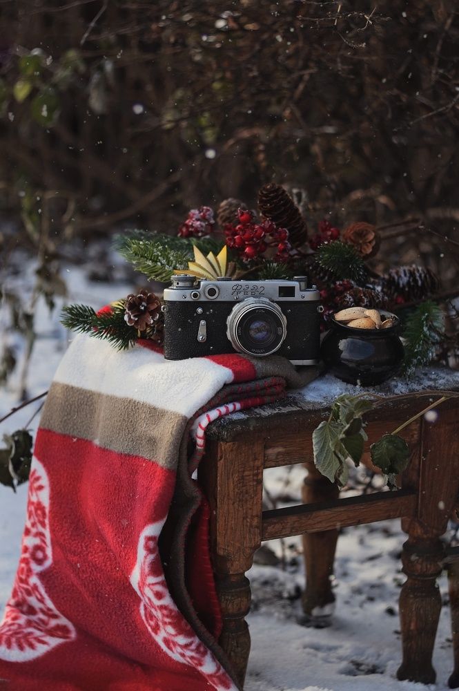 Photograph by Наталья Шленкина