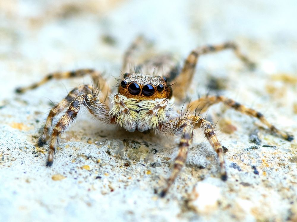 Photograph by Deryl Varela Cienfuegos