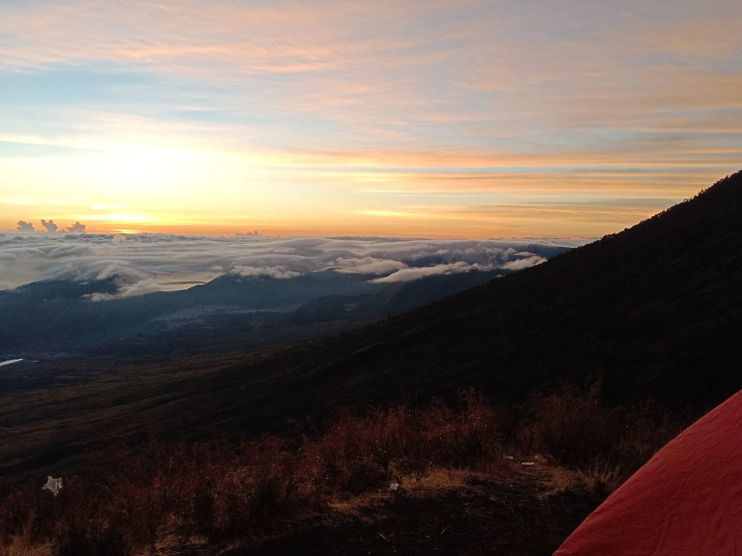 Photo #7260875