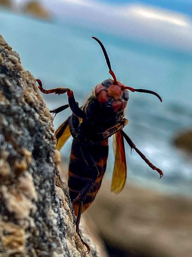 Photograph by Кирилл Романов