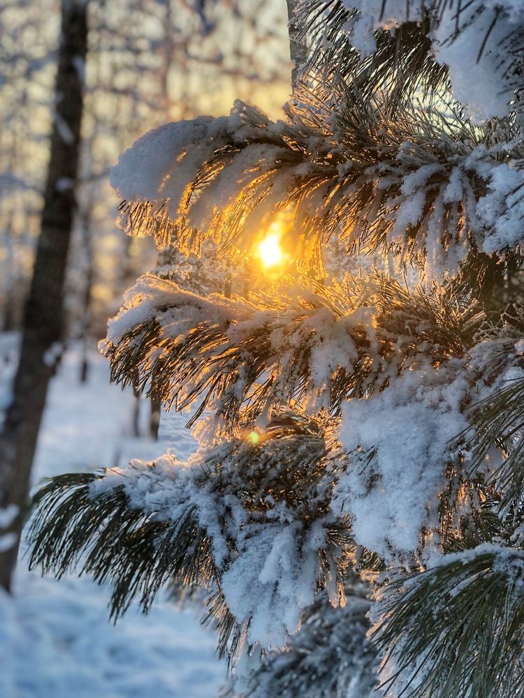 Photograph by Светлана Дмитриева