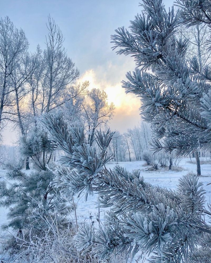 Морозный рассвет