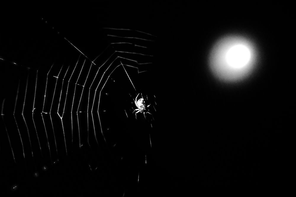 Photograph by Debarun Biswas