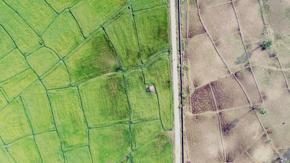 Photograph by Arjun Shanmugalingam