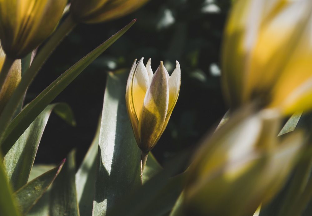 Photograph by Елизавета Большакова