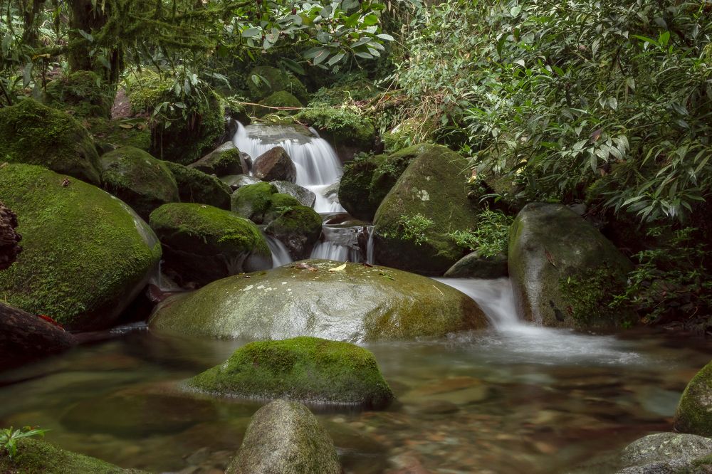 Photograph by Maria de los Angeles Osorio