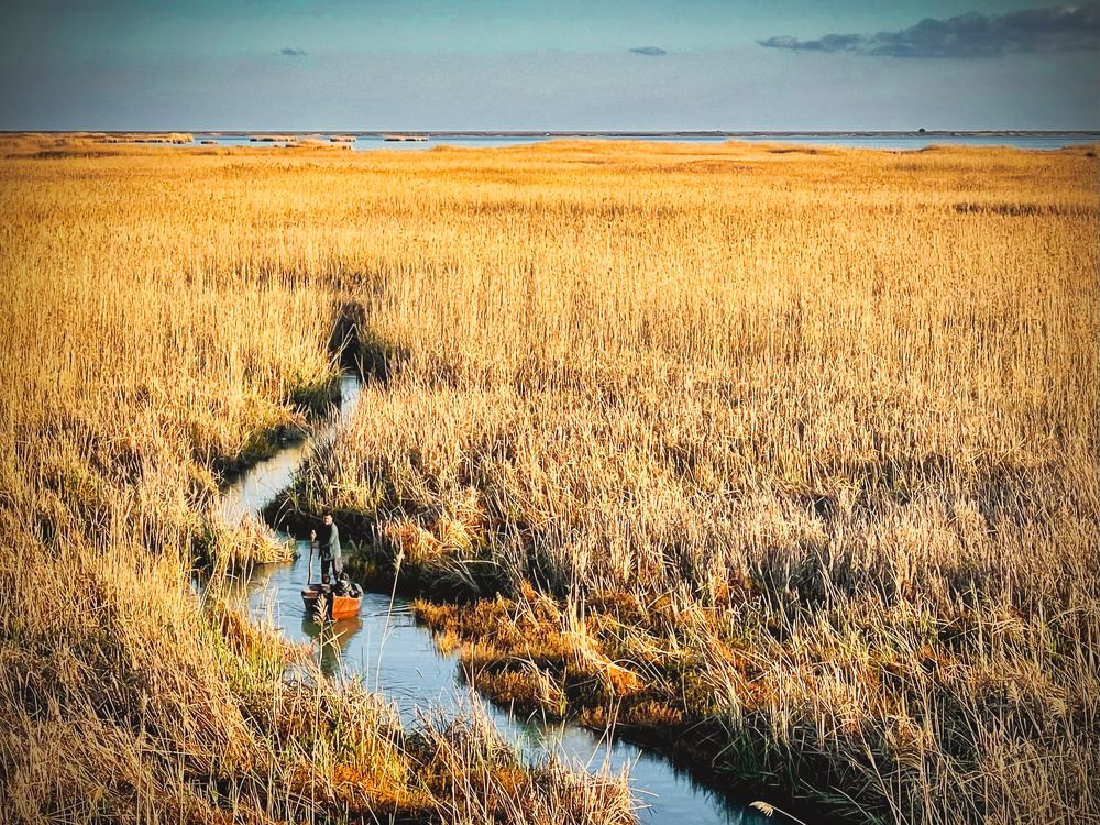 Photograph by Василий Речевский