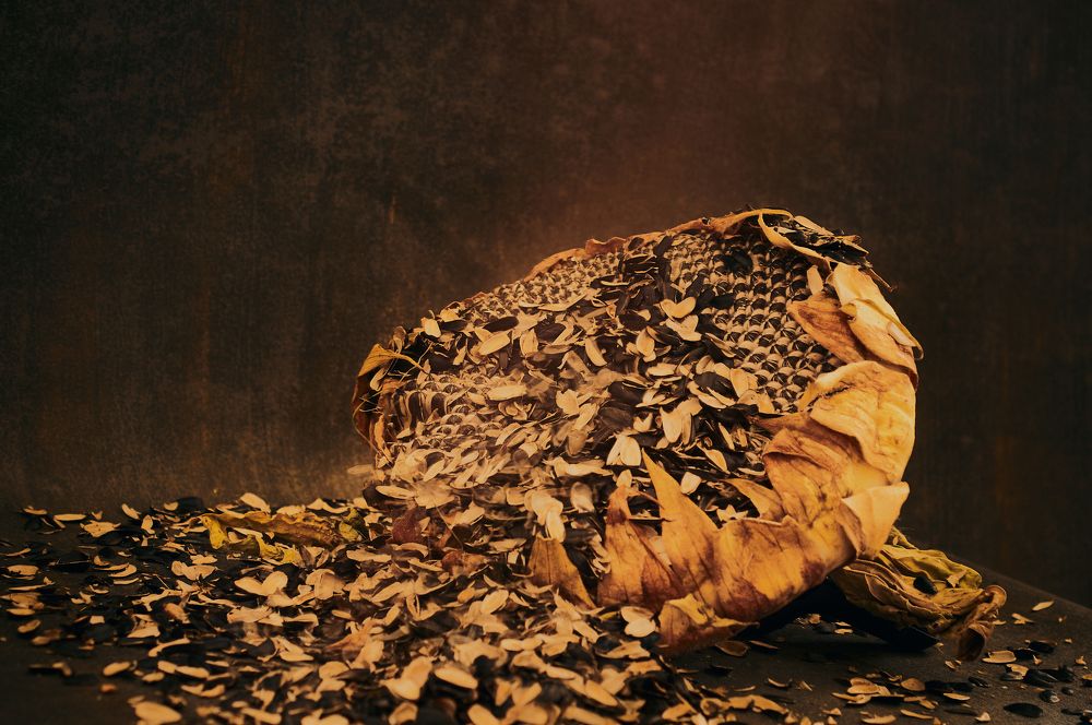 Photograph by Ирина Секачева