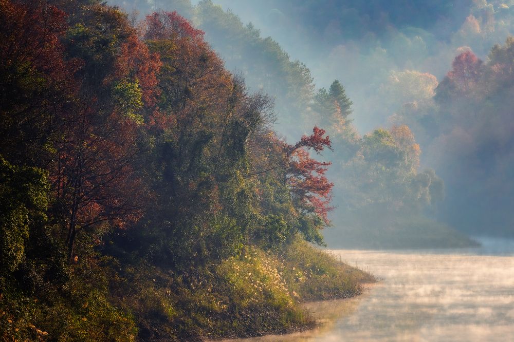 The season of maple leaves changing leaves at Ban Viet lake, Vietnam