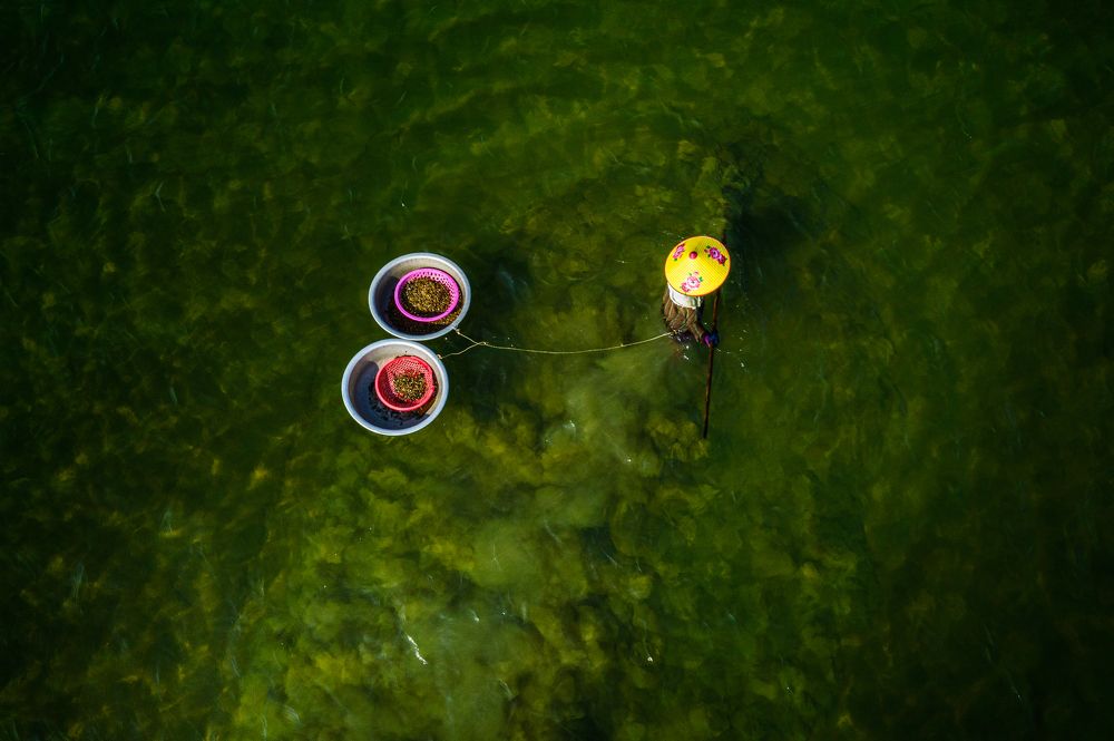 Photograph by Tuấn Nguyễn Tấn