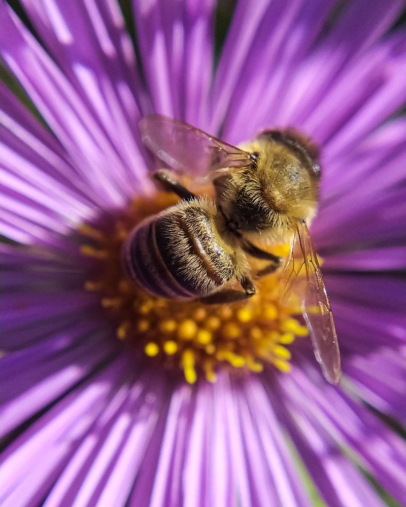 Фотография автора Наталья Алексеева