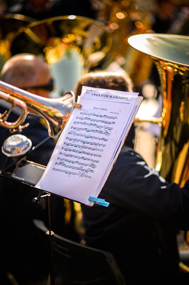 Photograph by Mahmud Tareq Hassan Khan