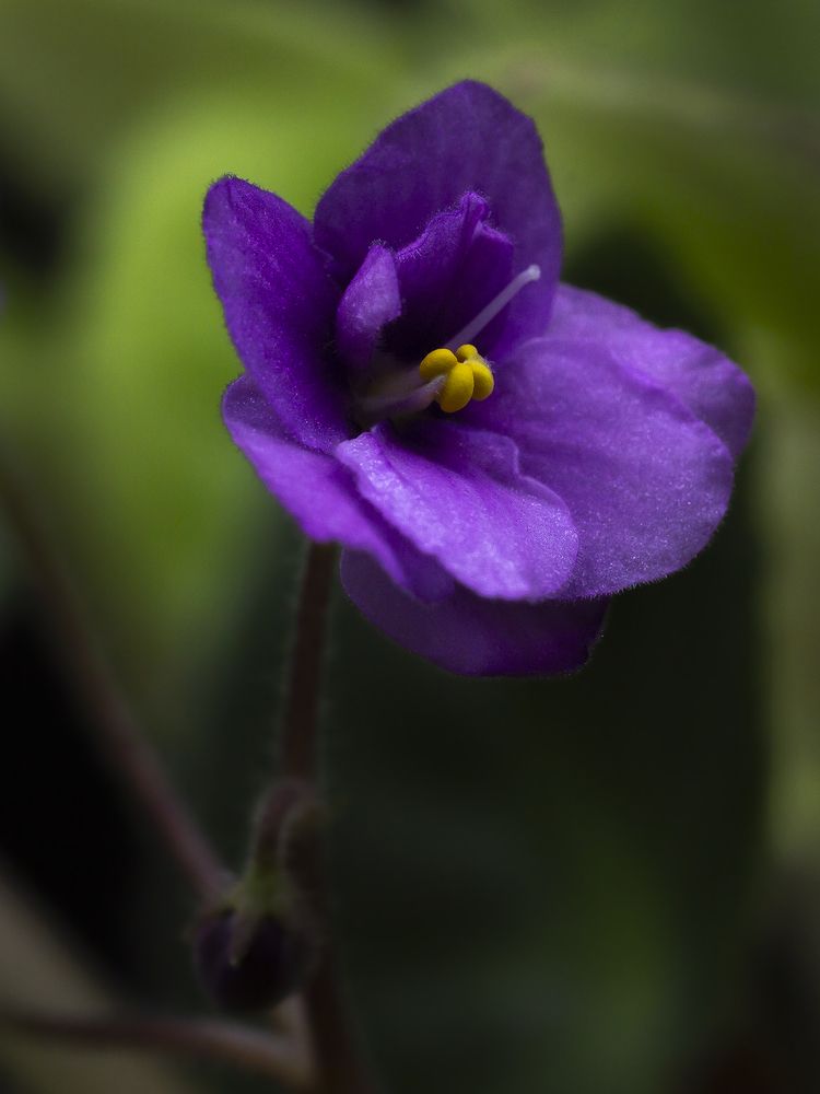 Photograph by Олег Тетерин