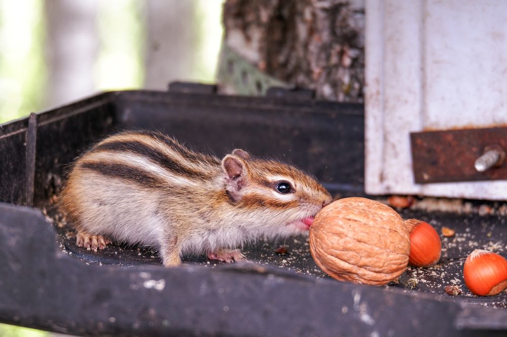 Photograph by Ольга Тюрина