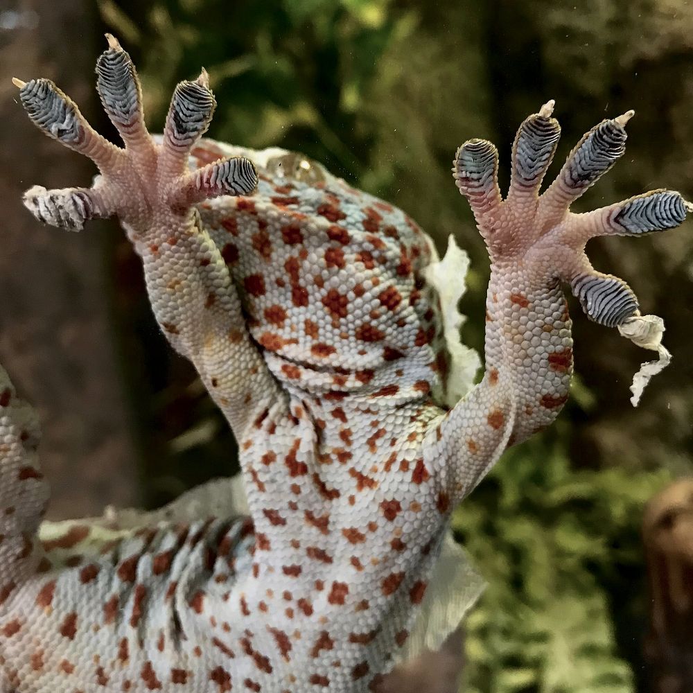 Photograph by Артем Карлов