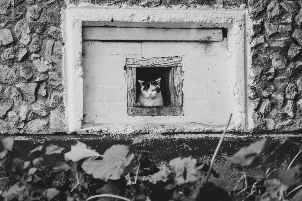 Photograph by Ольга Тюрина