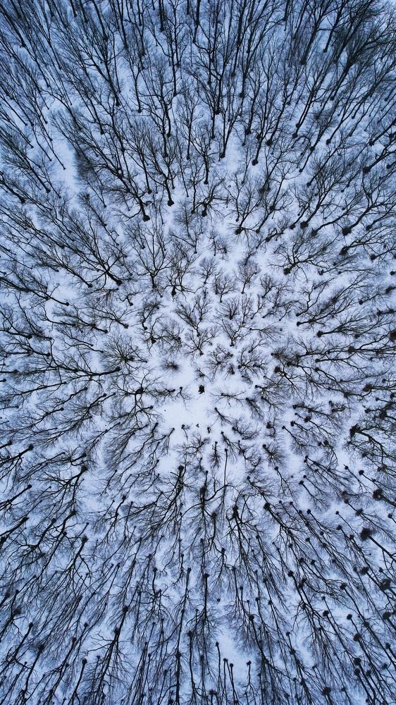 Photograph by Владимир