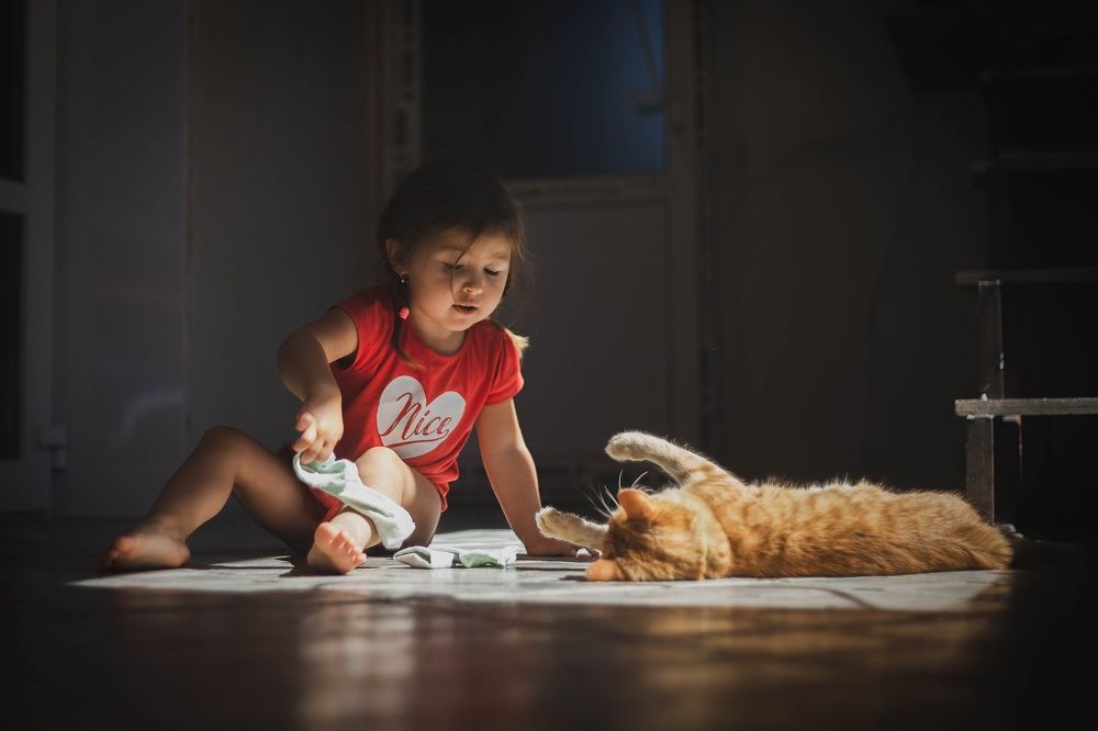 Фотография автора Юлия Трубанова