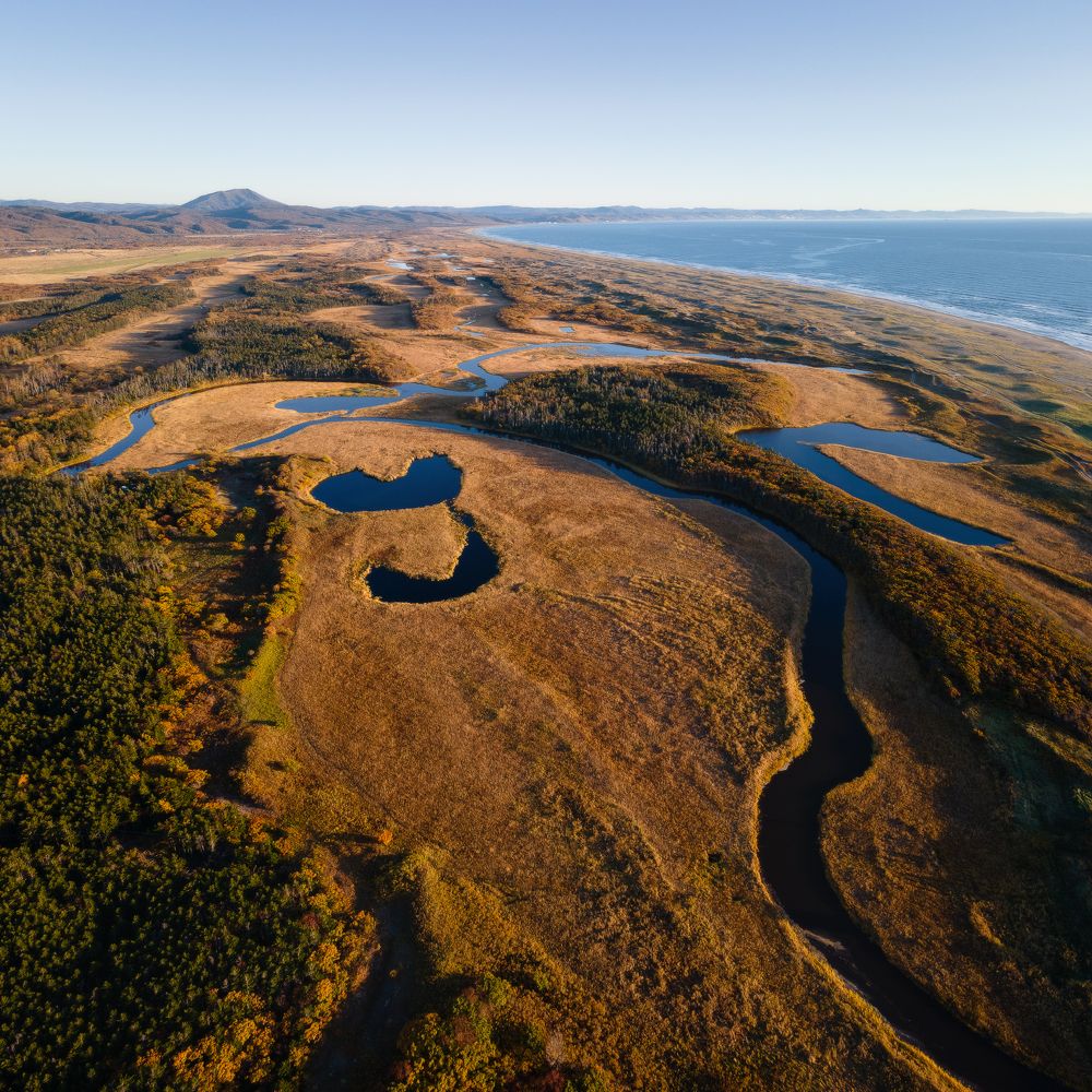 Photograph by Наталья Лабодина