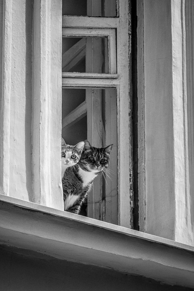 Photograph by Юлия Сухачева