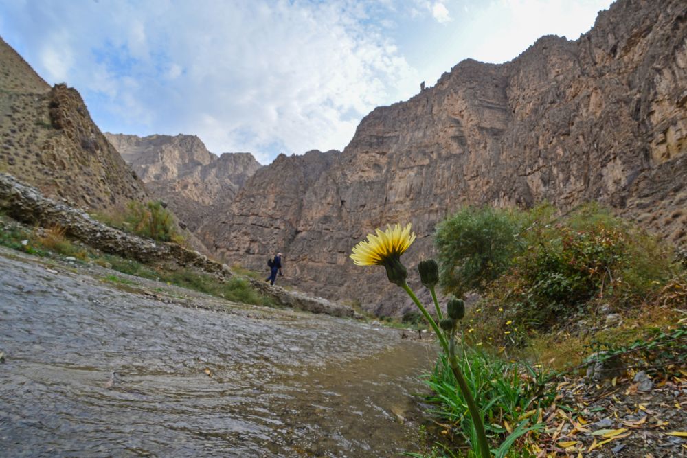 Фотография автора Игорь Ломов