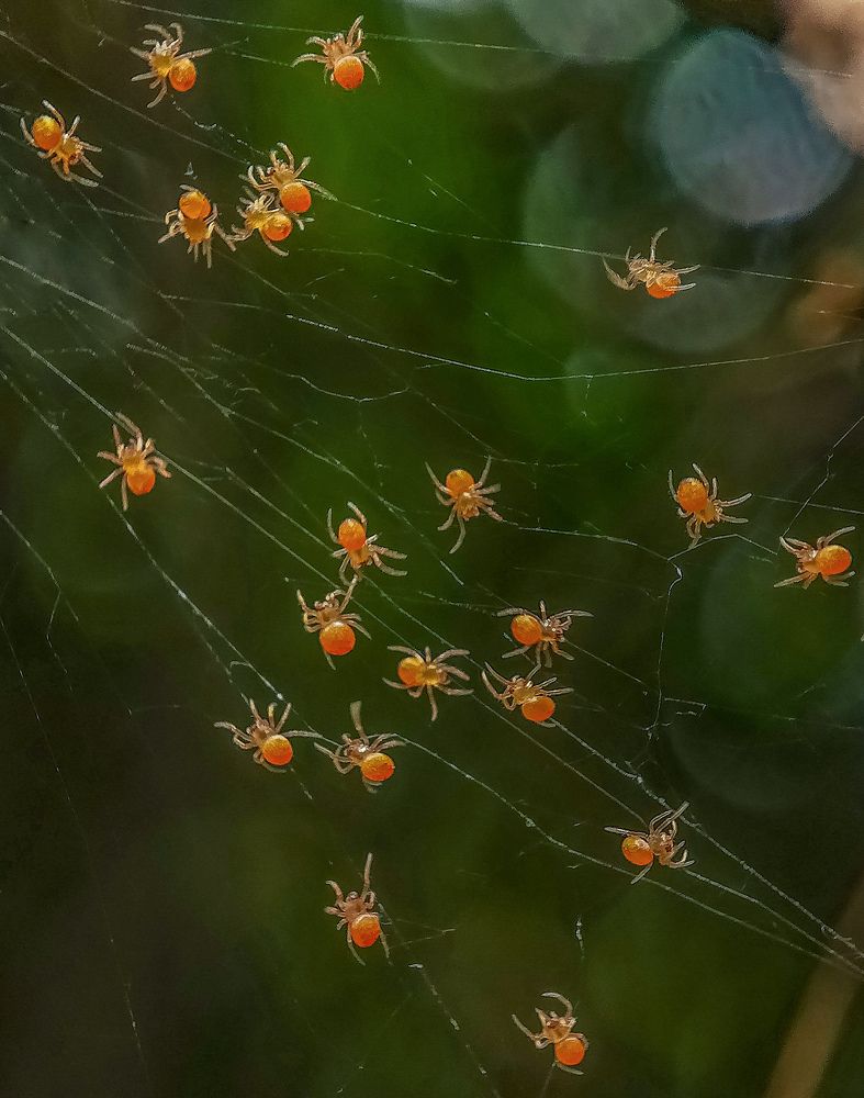 Photograph by Rahul Dey