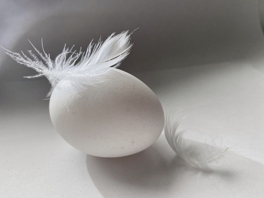 Photograph by Светлана Коваль