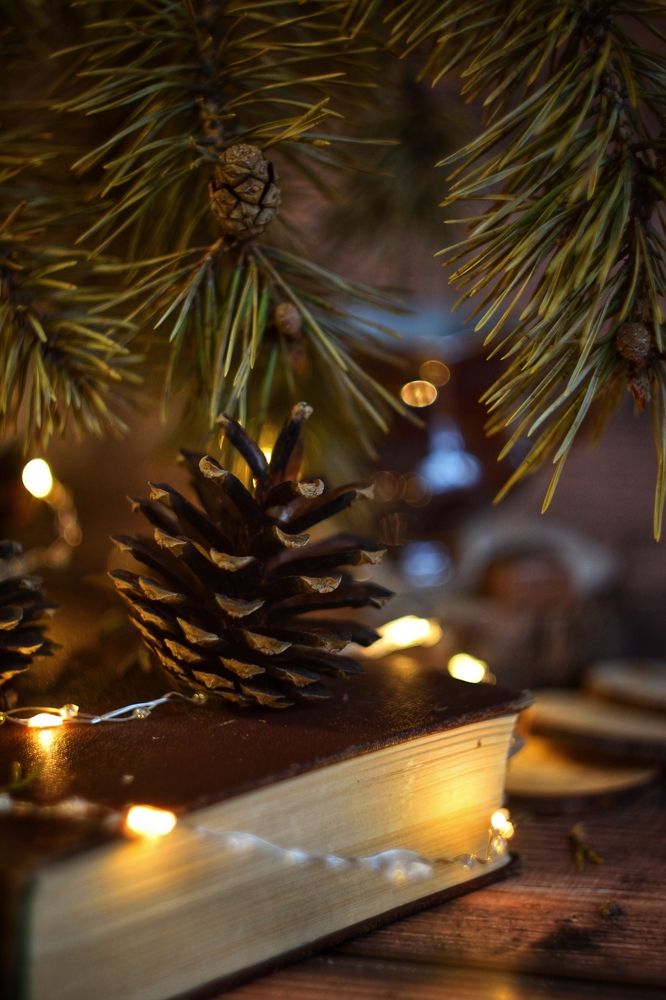 Лучшая елочная игрушка