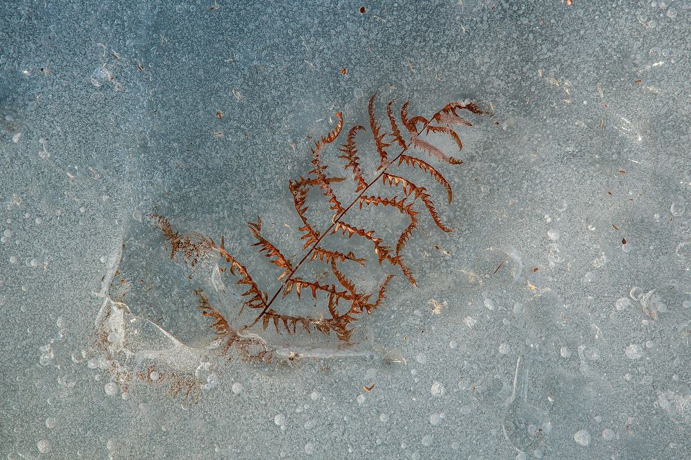 Photograph by Юлия Сухачева