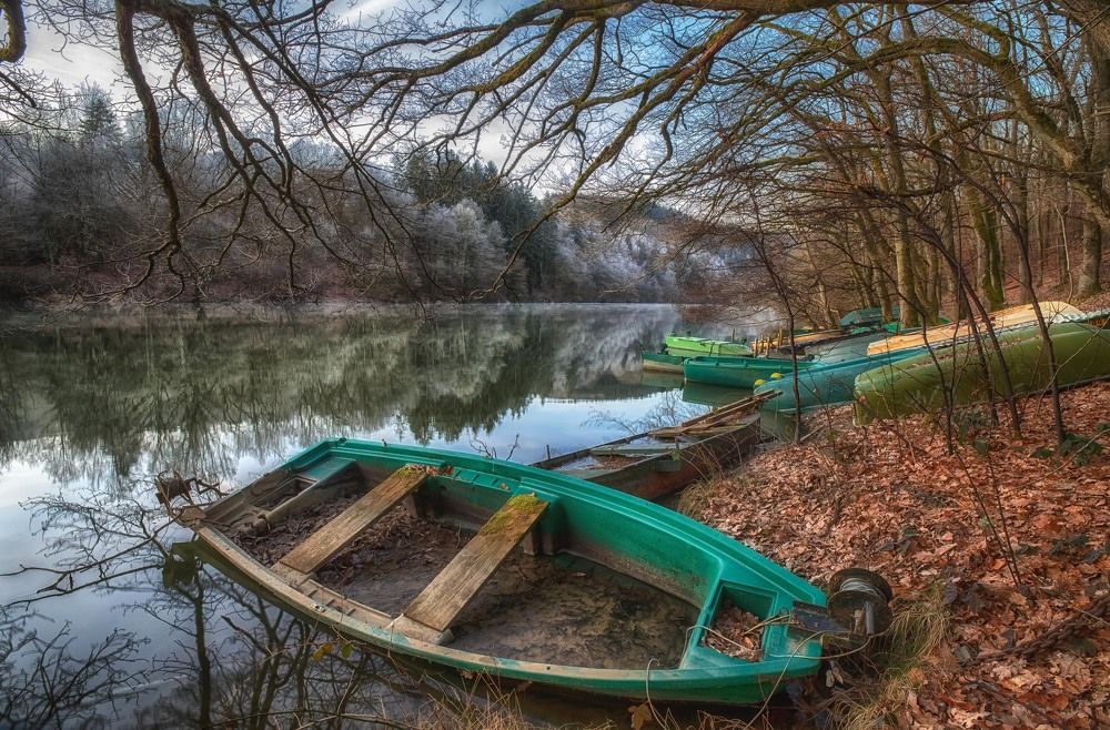 Photograph by Guy Krier