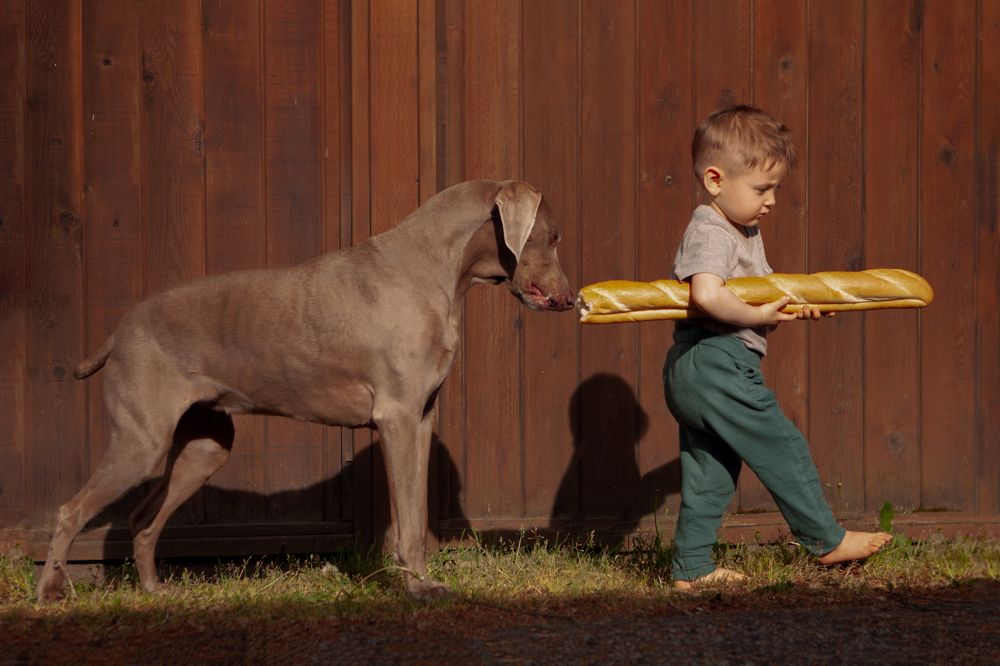 Photograph by Adelia Morozova