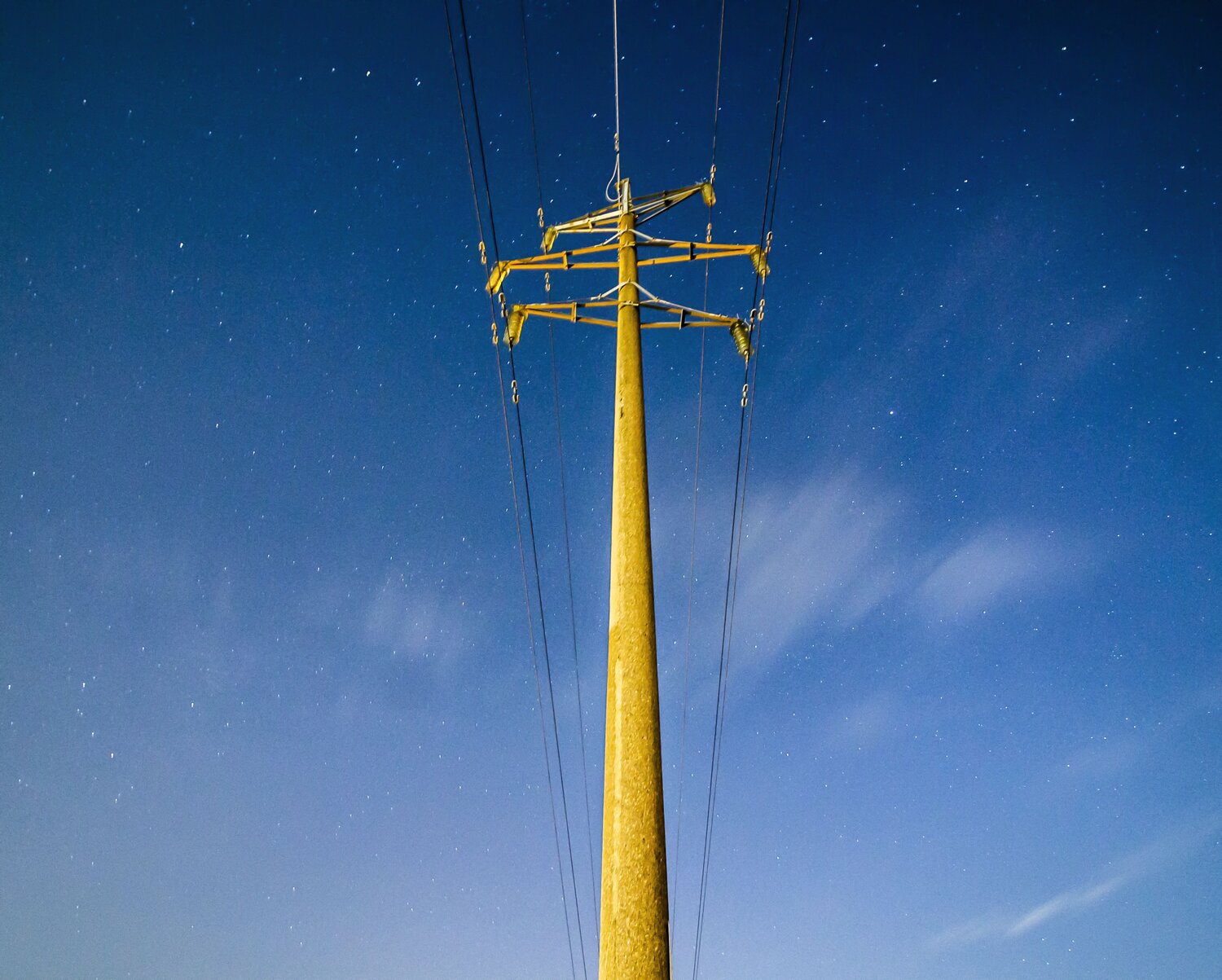 Photo #7261600