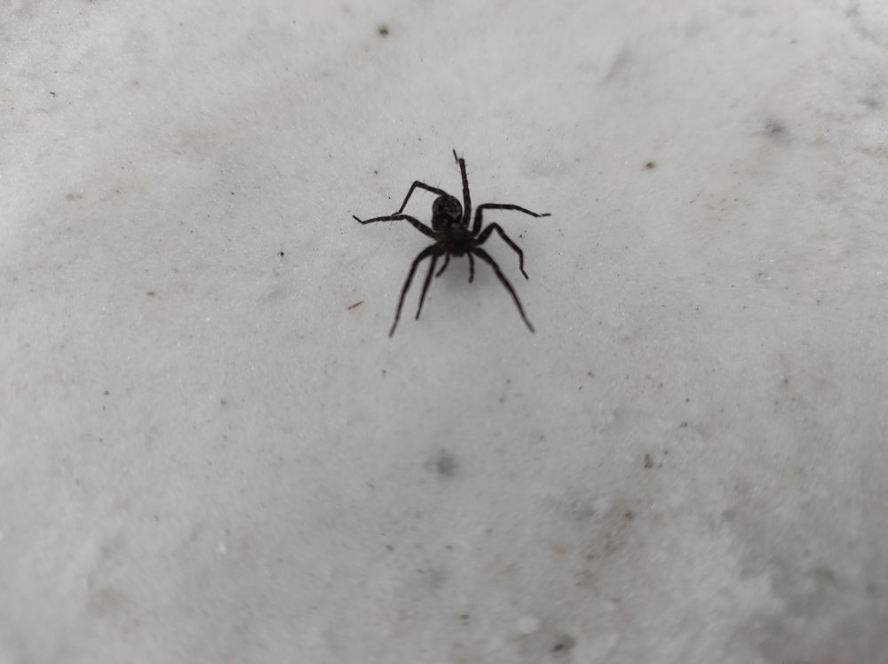 Photograph by Владимир Буряк