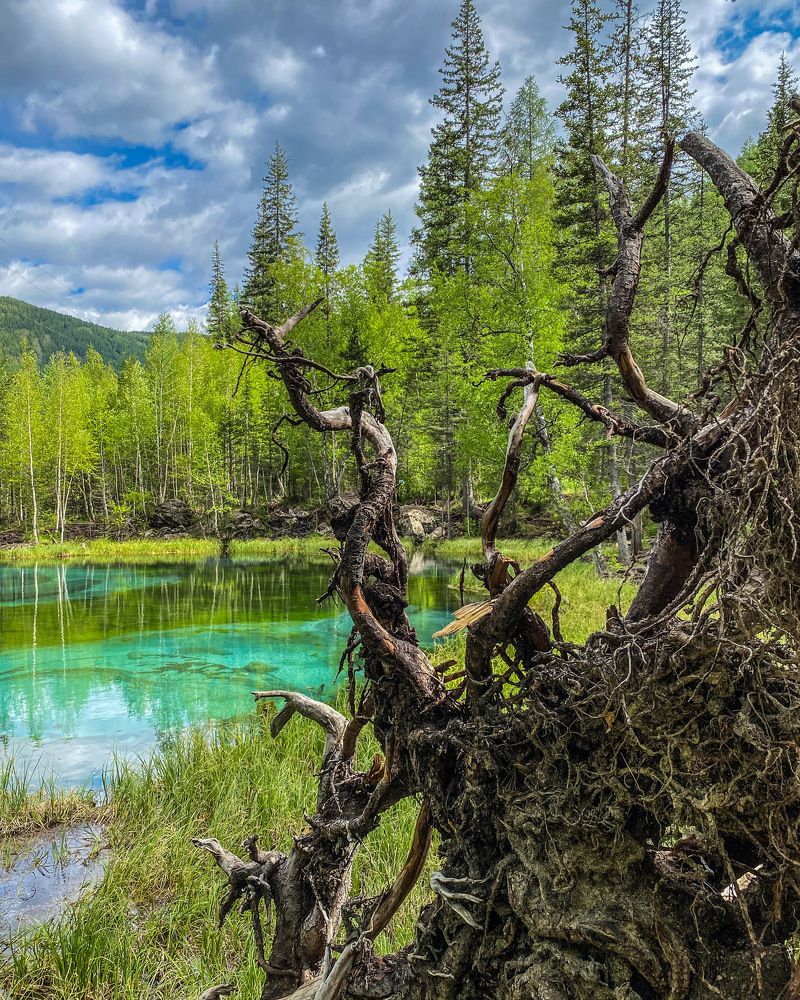 Photograph by Козинец Александр