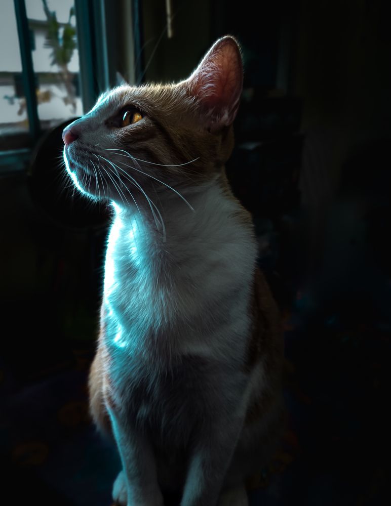 Photograph by Cesar Alberto Castellanos Gonzalez