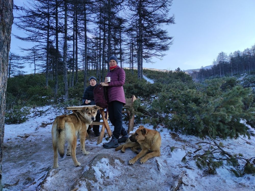 Photograph by Владимир Буряк