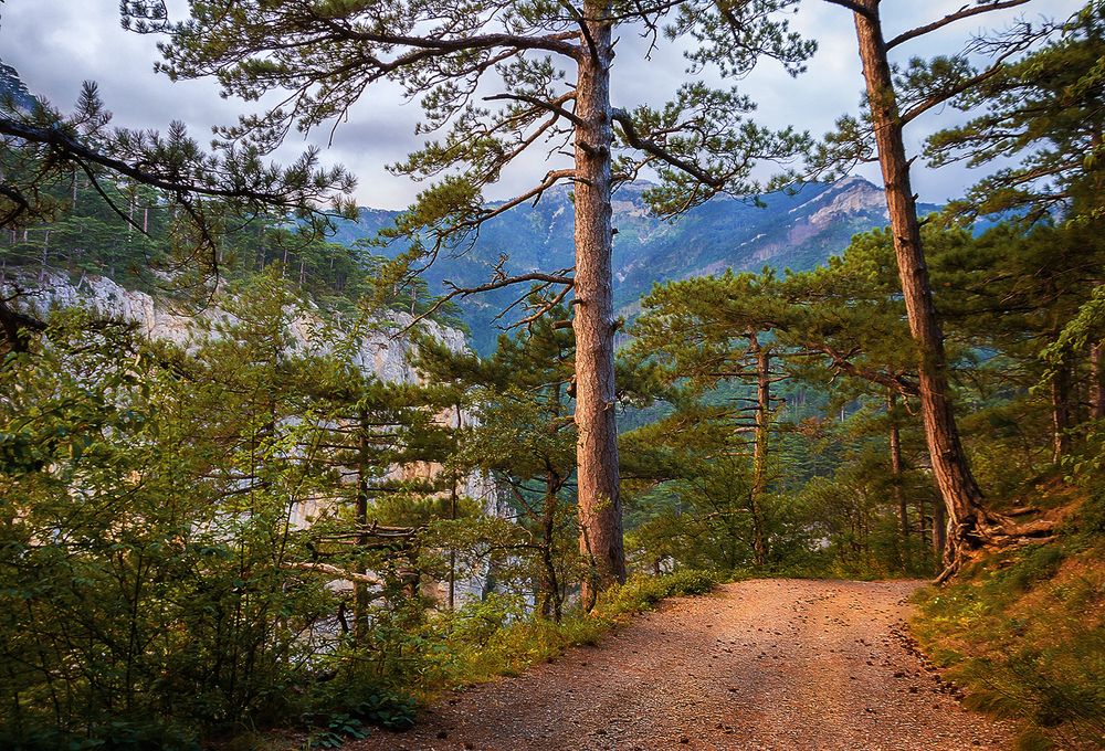 Photograph by Надежда Колеватова