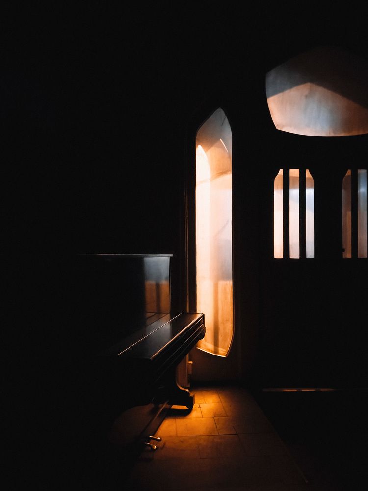 Фотография автора Pavel Proxin (prxn)