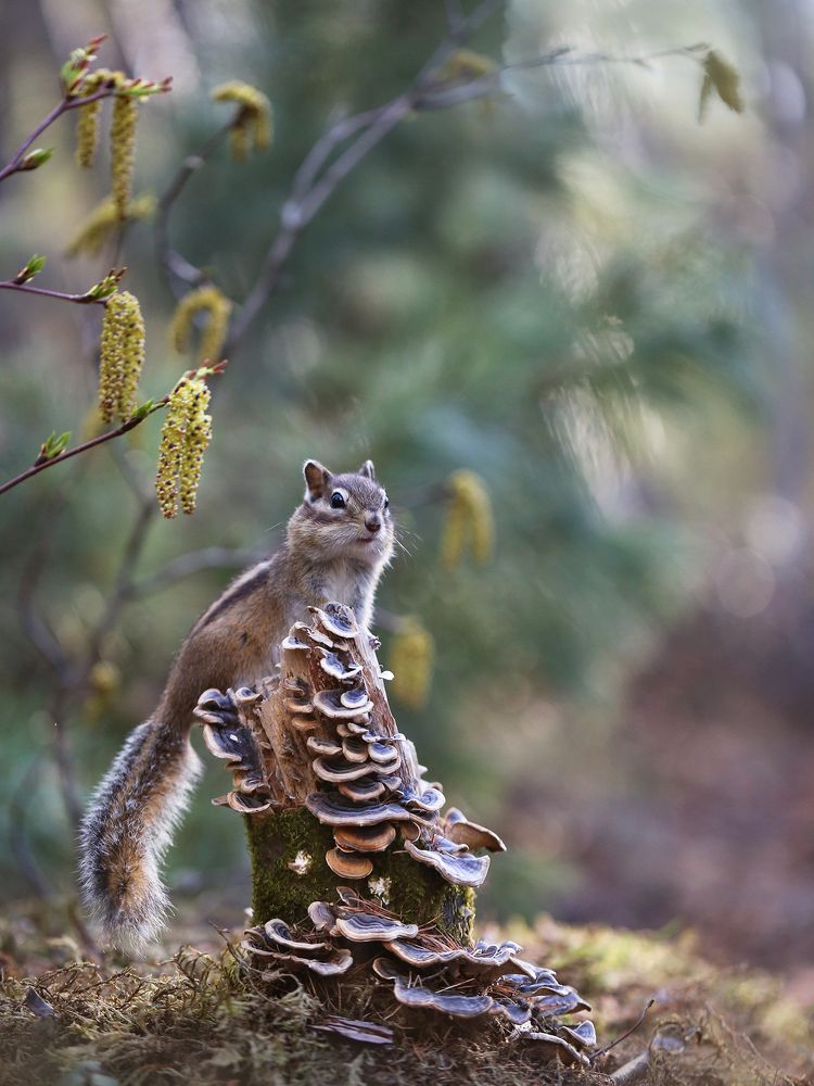 Photograph by Евгения Левина