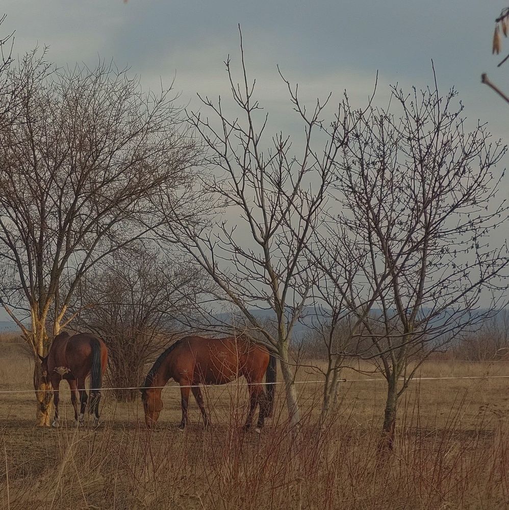 Photograph by Анна