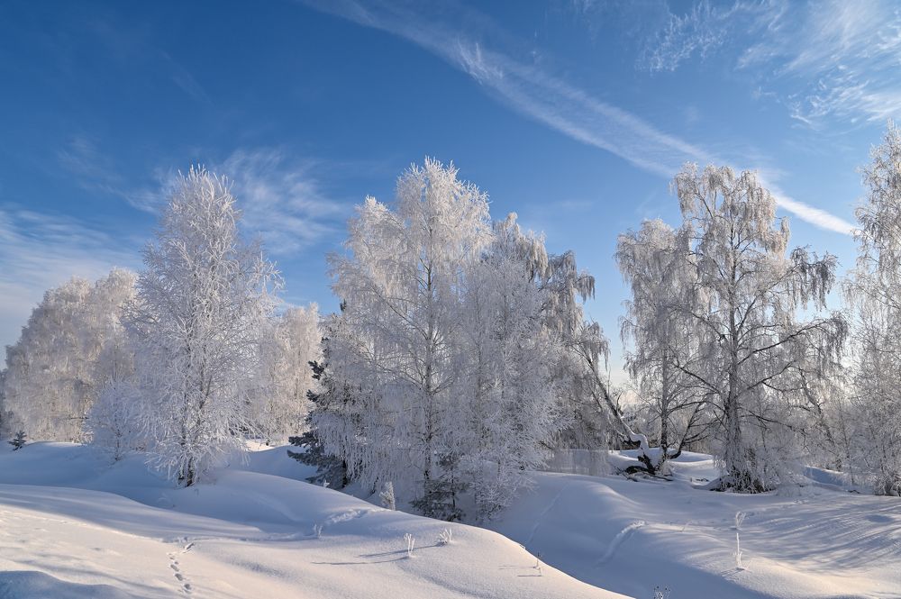 В зимних одеждах